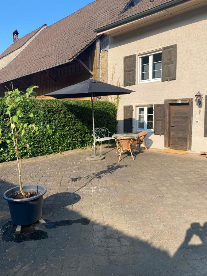 Ruhige 2 Zimmer Wohnung Diegten المظهر الخارجي الصورة